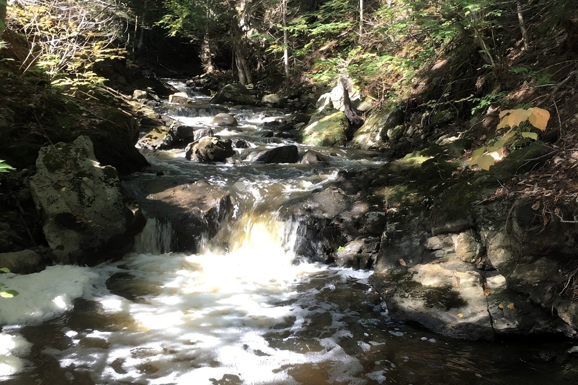 Autre - Petit ruisseau en cascade dans la cour arrière.