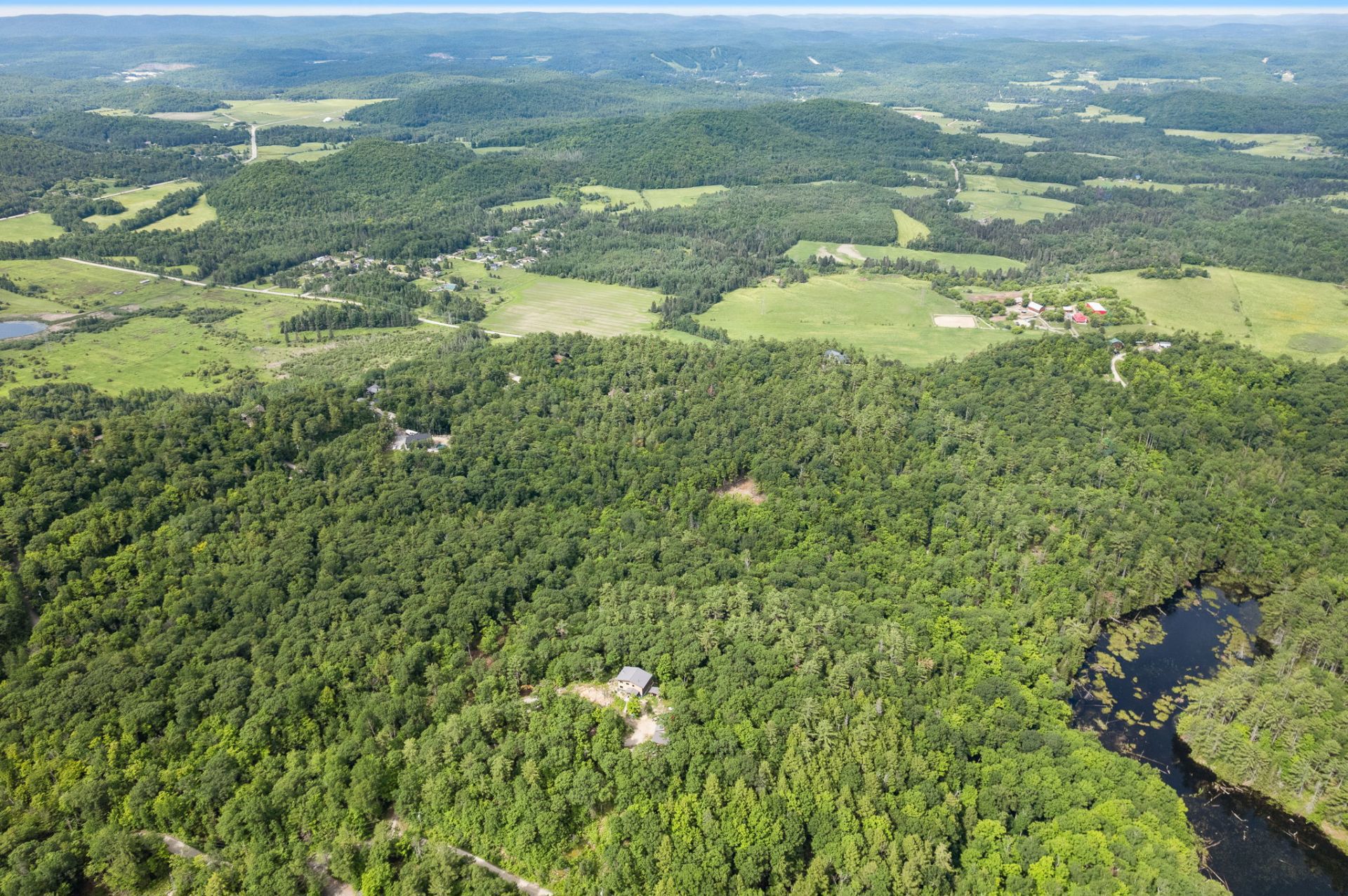 View
