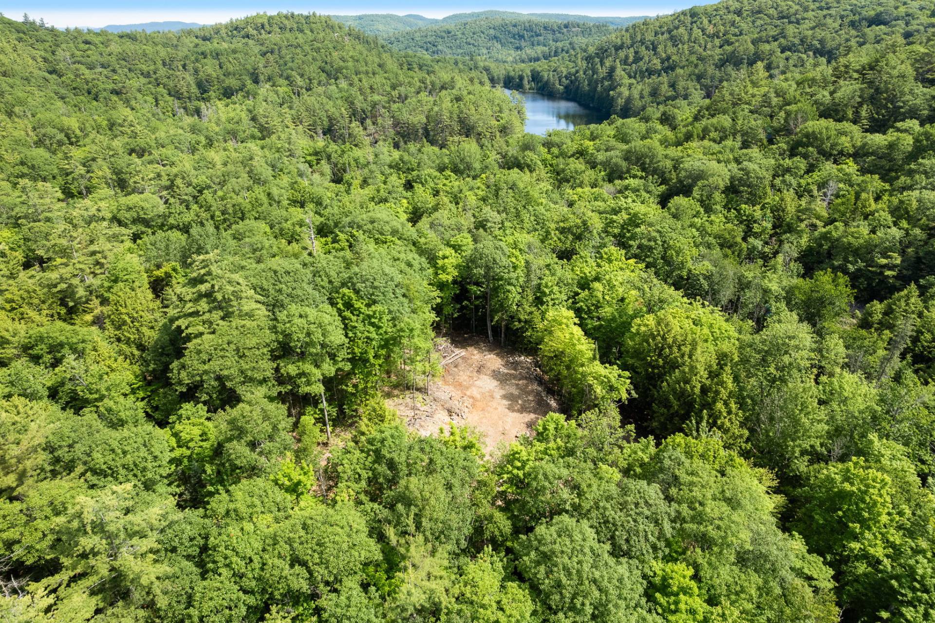 View