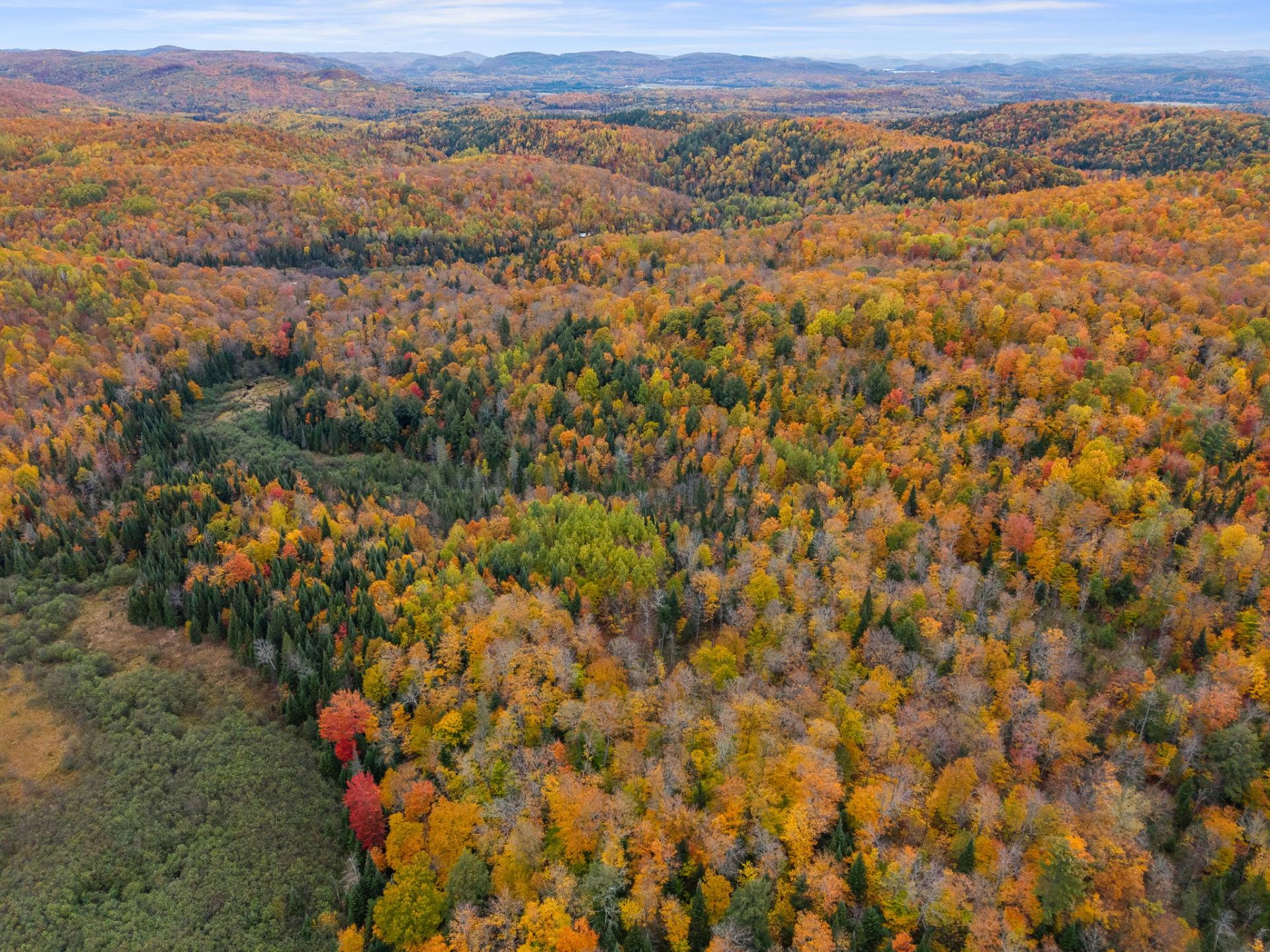 Land/Lot