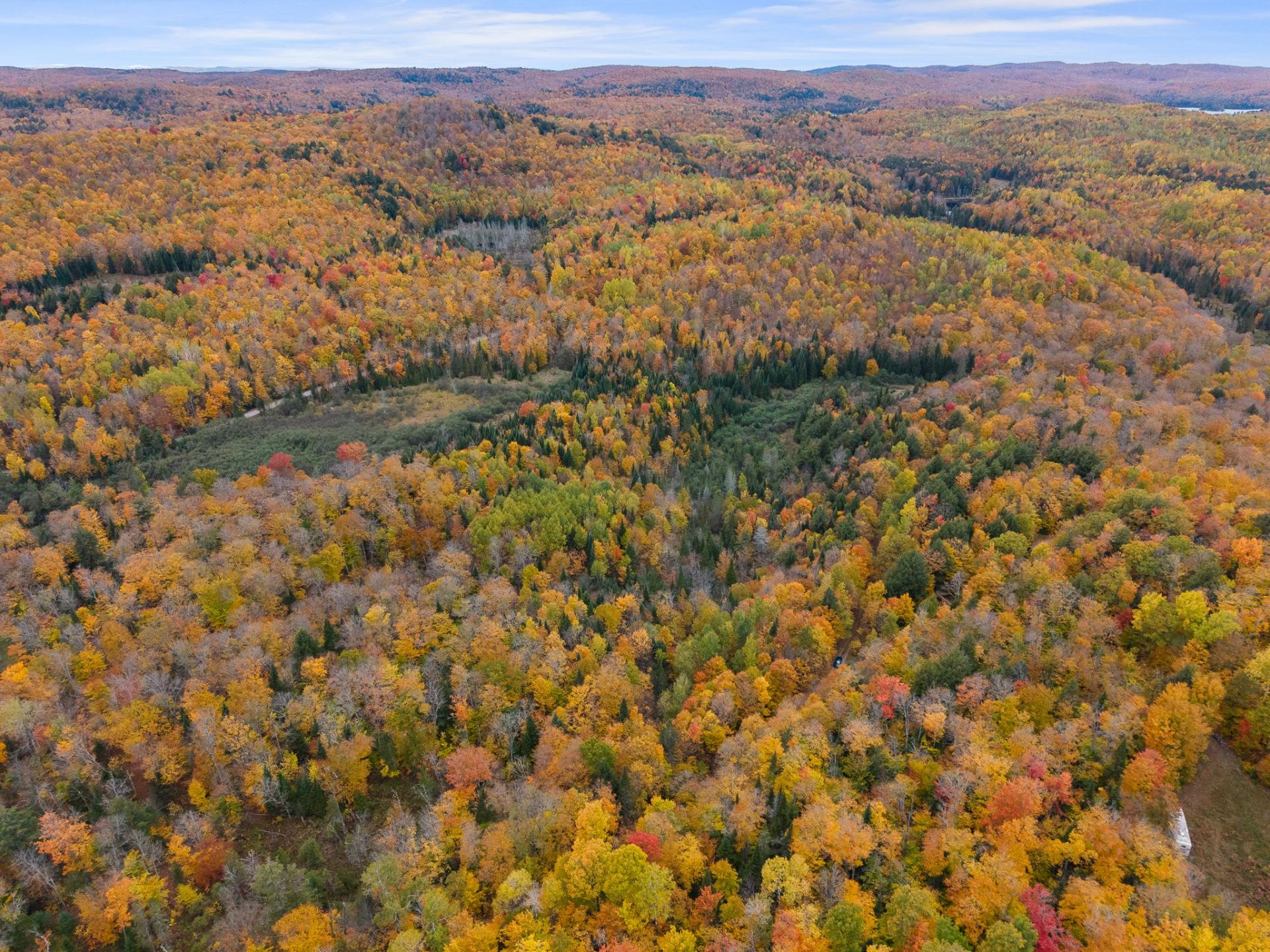 Land/Lot