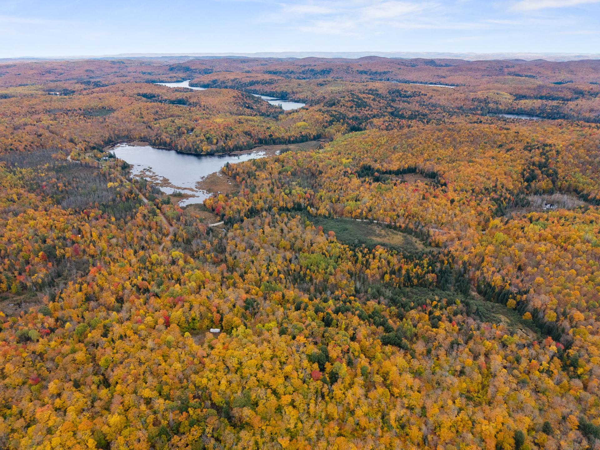 Land/Lot