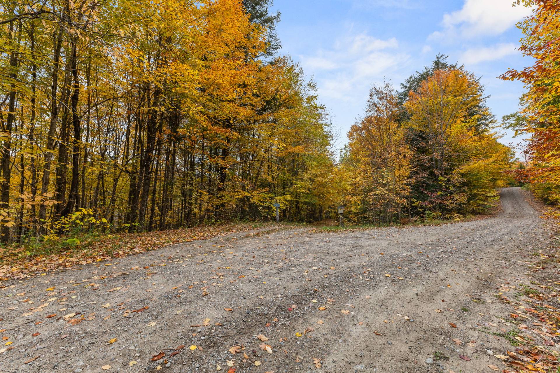 Land/Lot