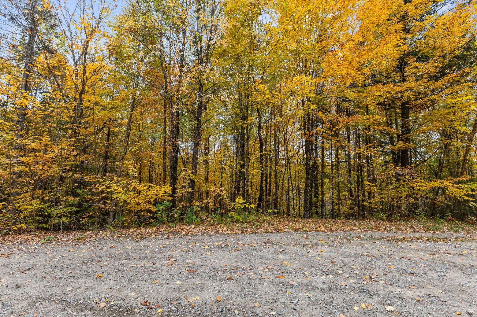 Land/Lot