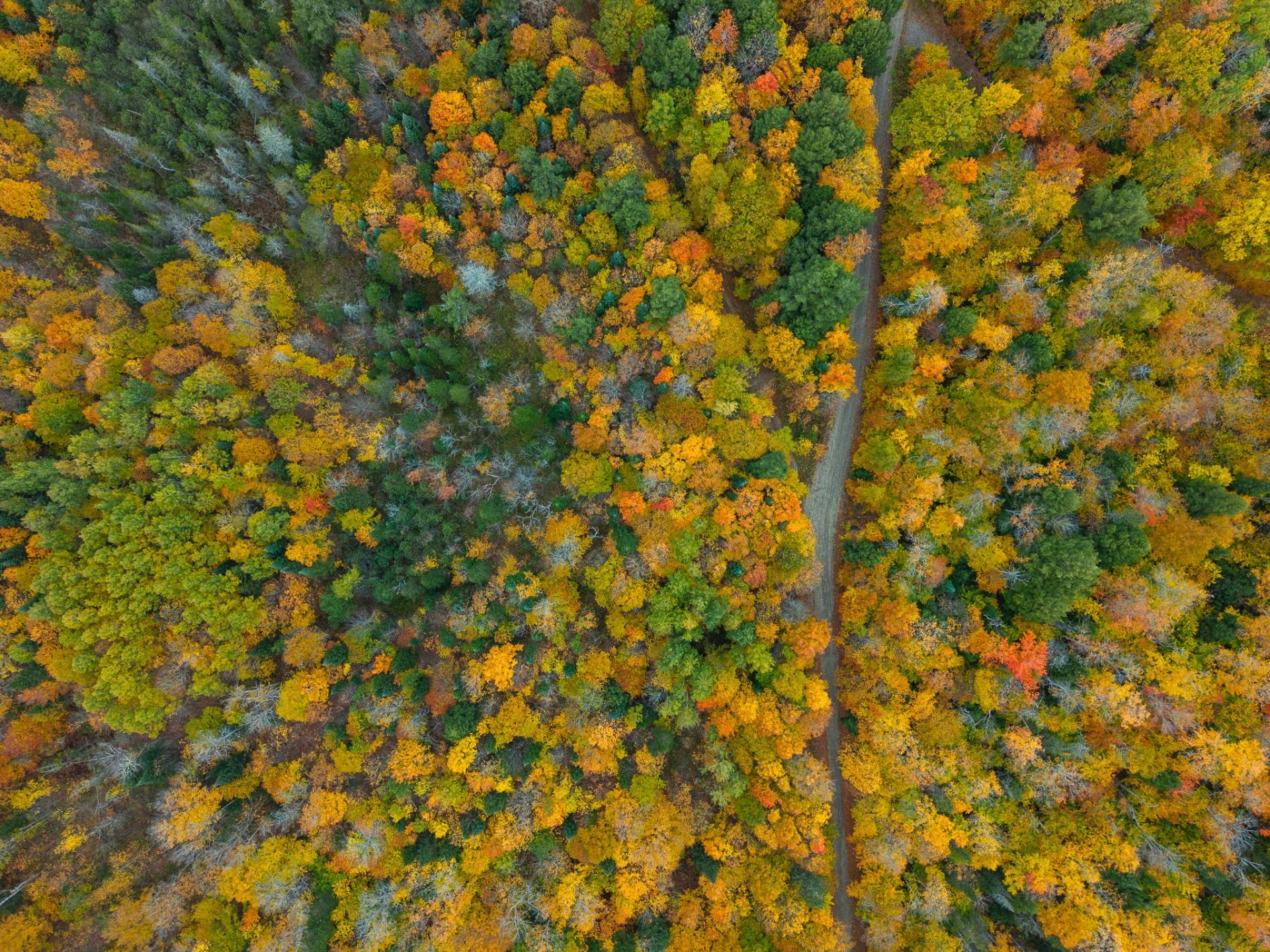 Land/Lot