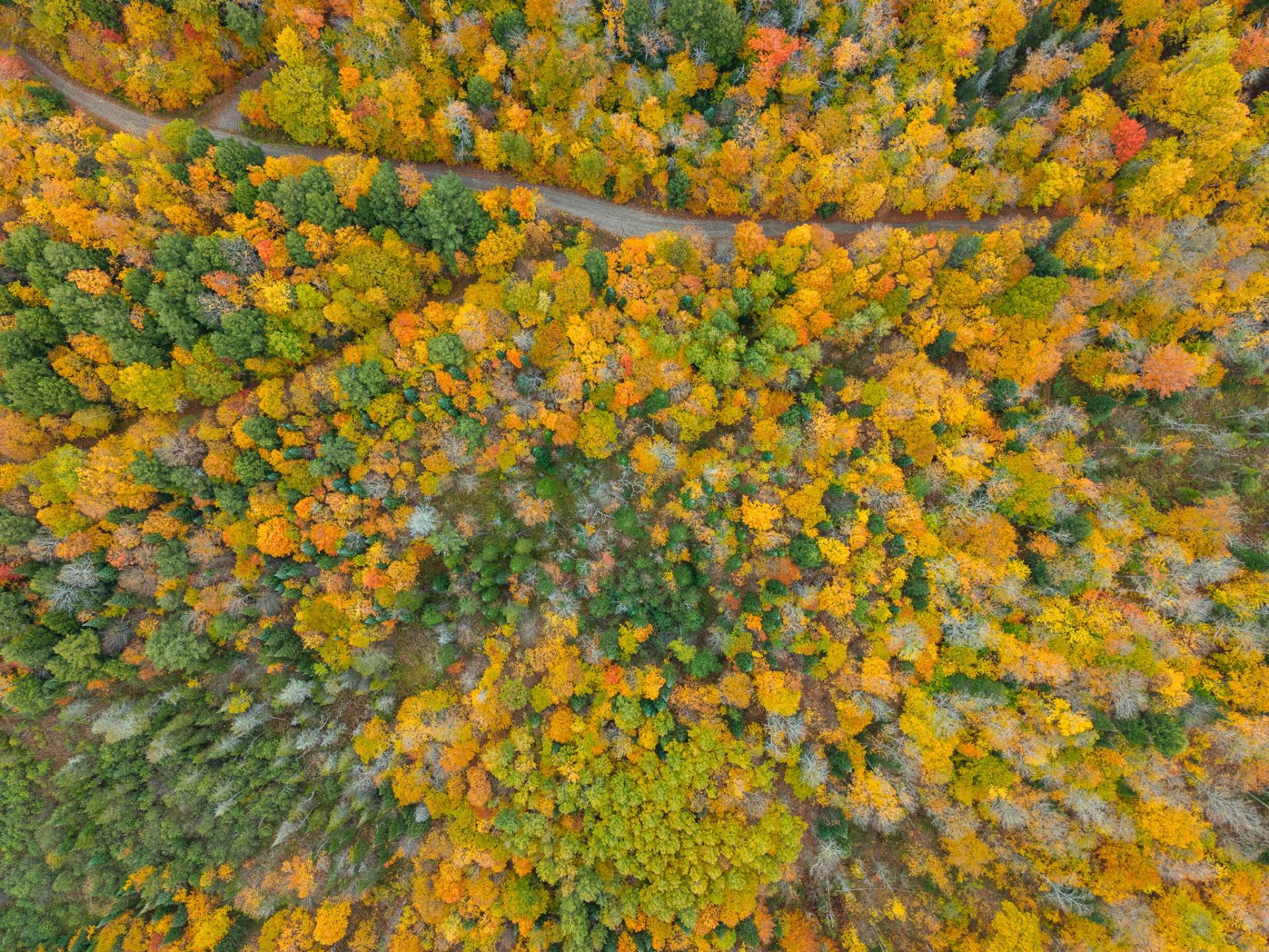 Land/Lot