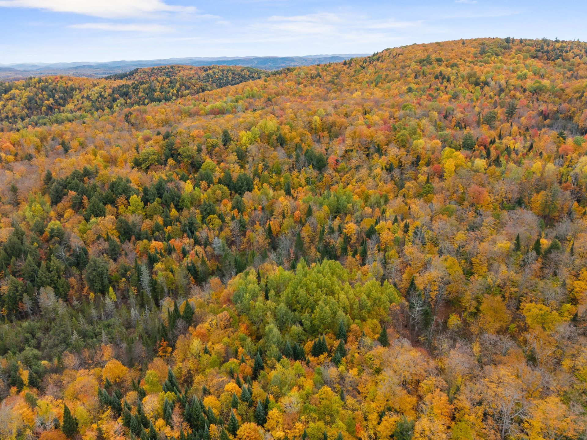 Land/Lot