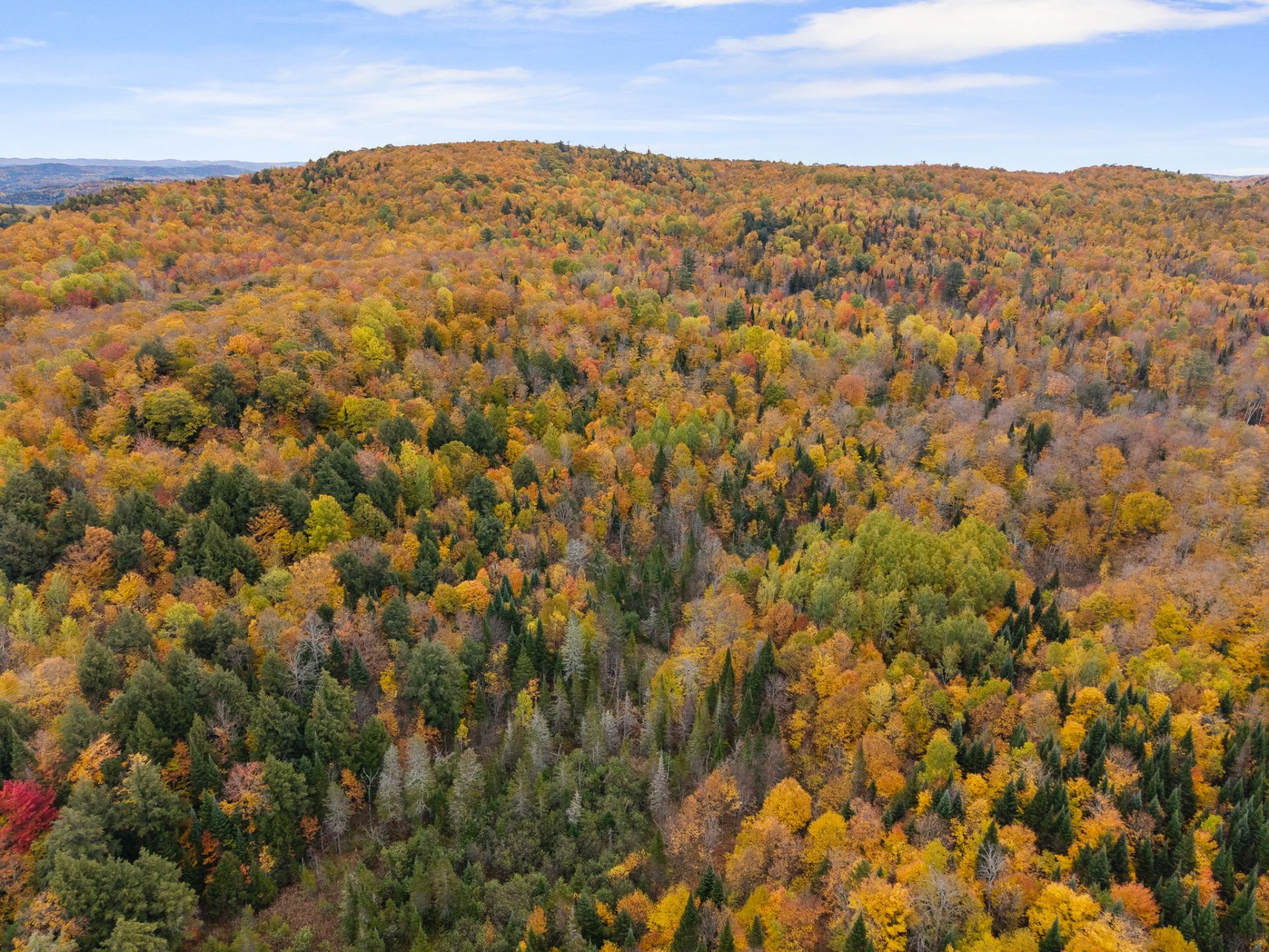Land/Lot