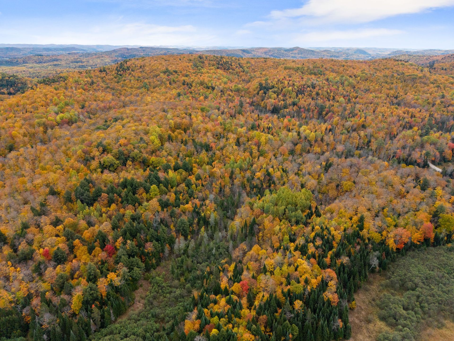 Land/Lot