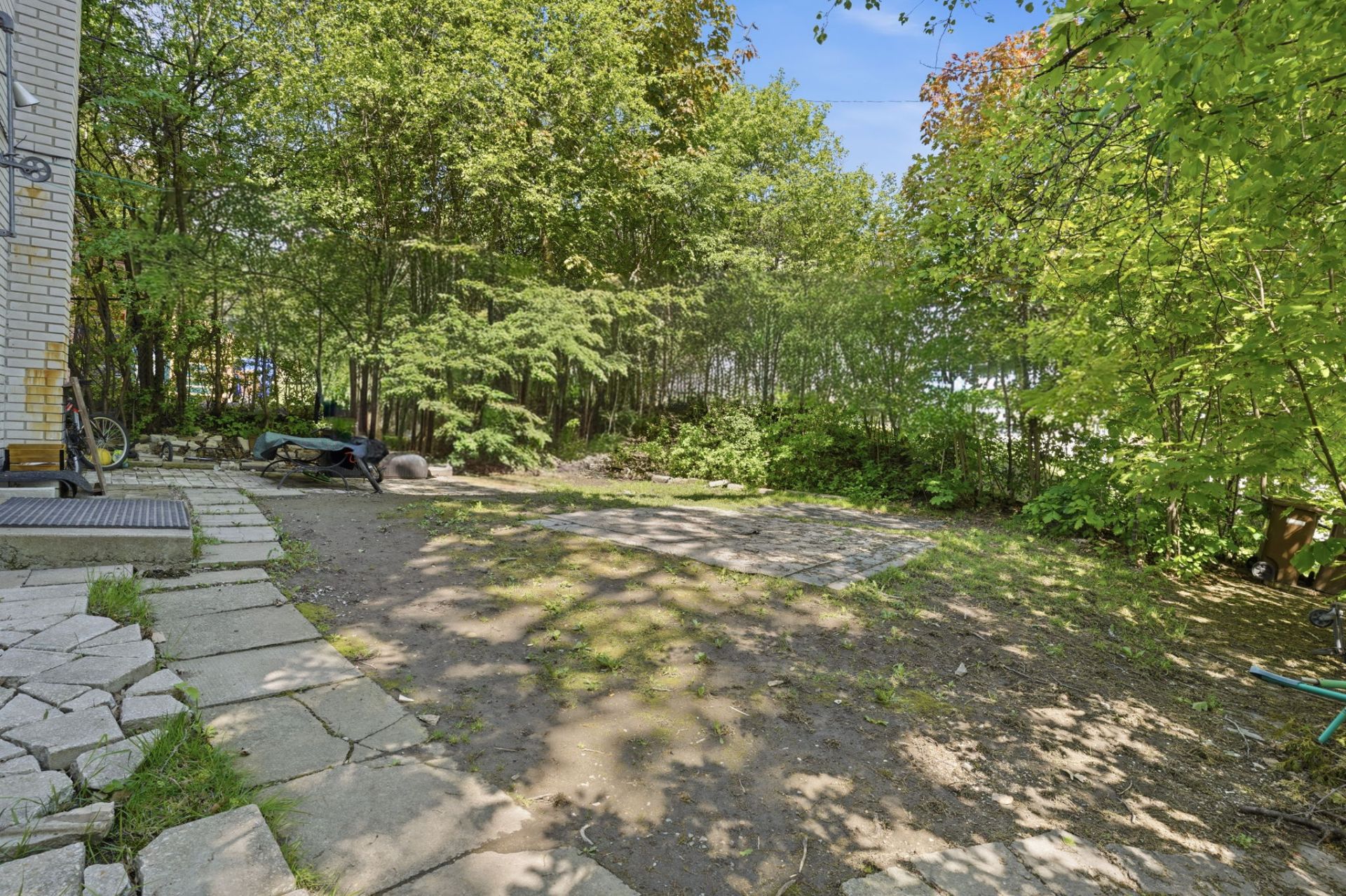 Backyard