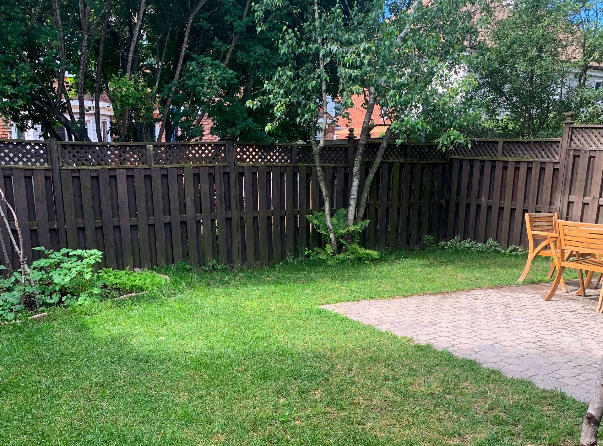 Backyard