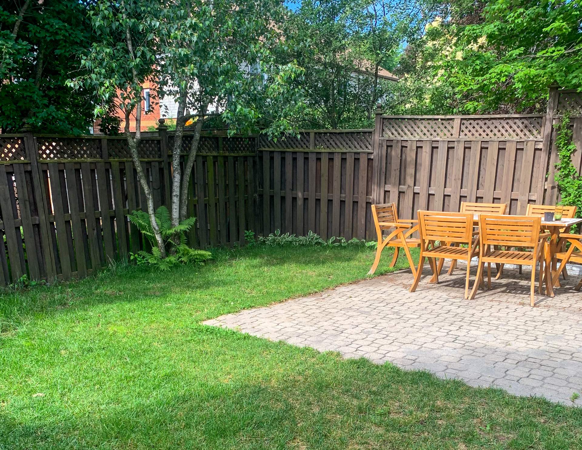 Backyard