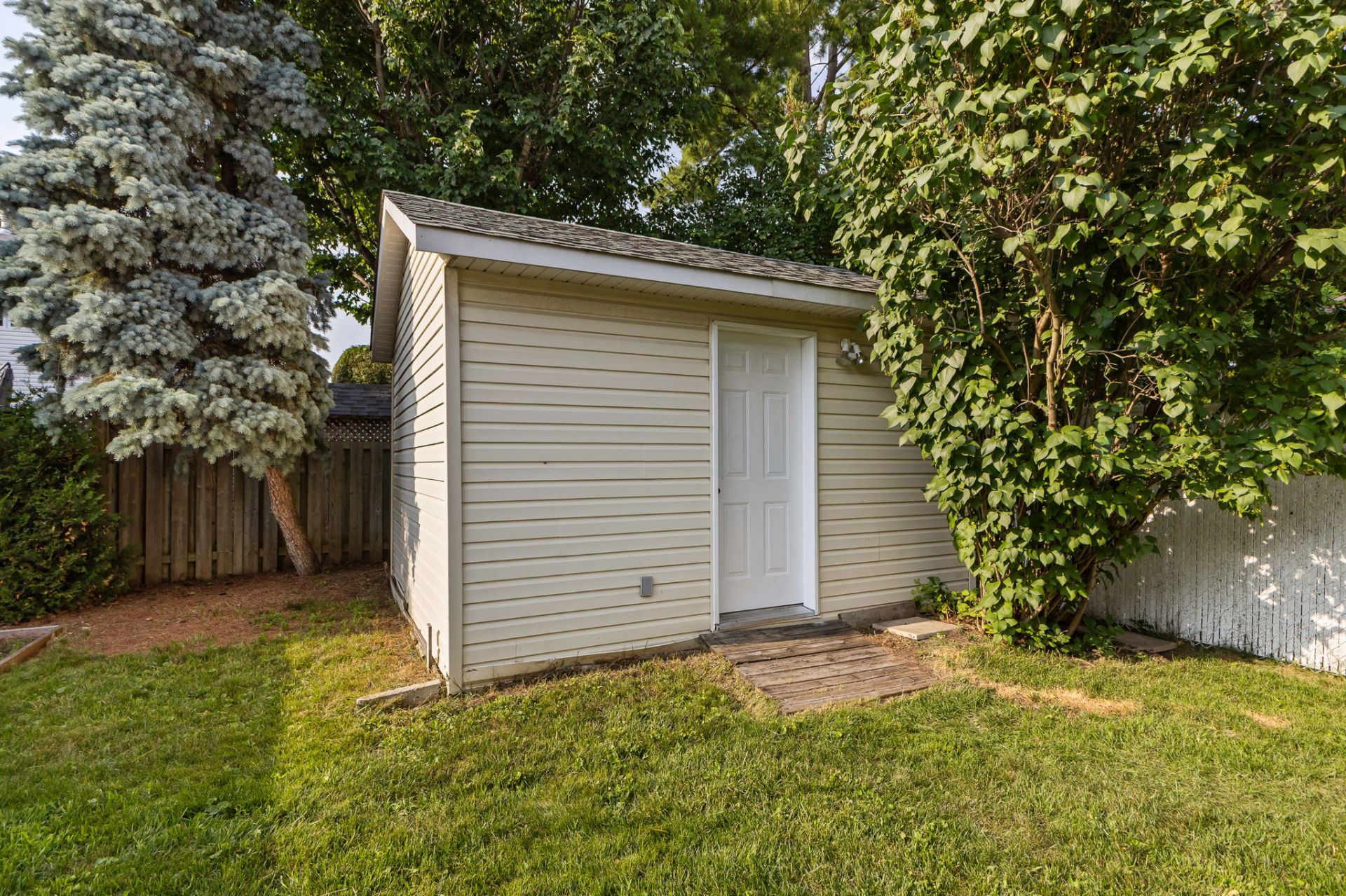 Shed