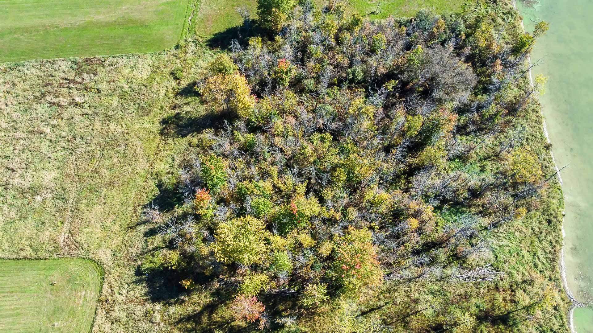 Land/Lot