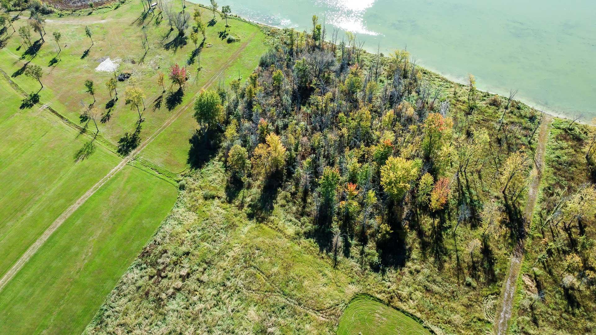 Land/Lot