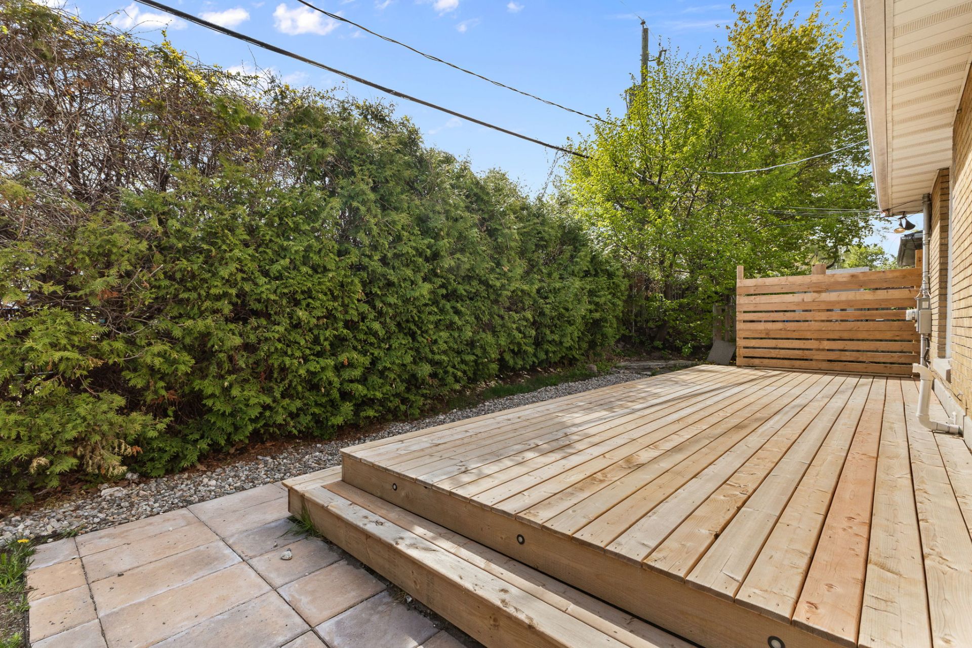 Backyard