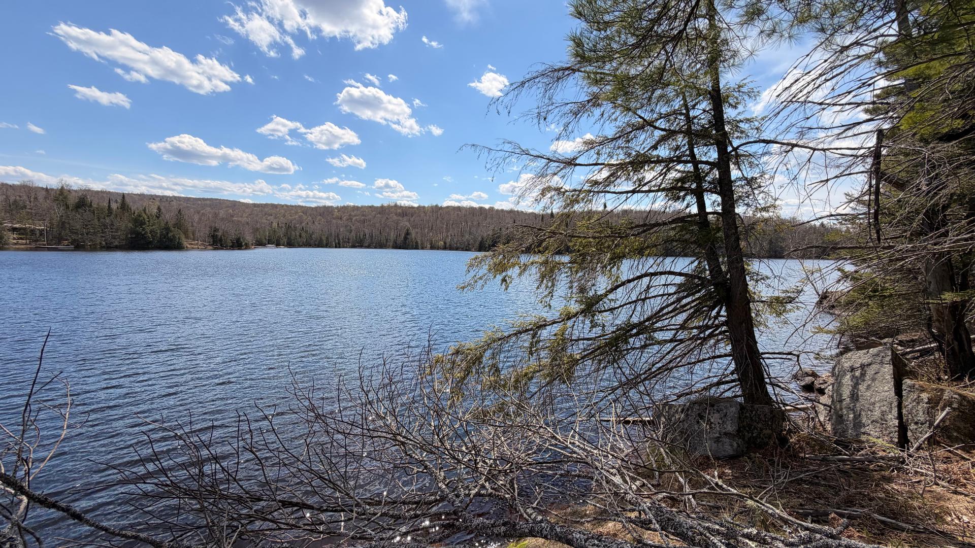 Water view