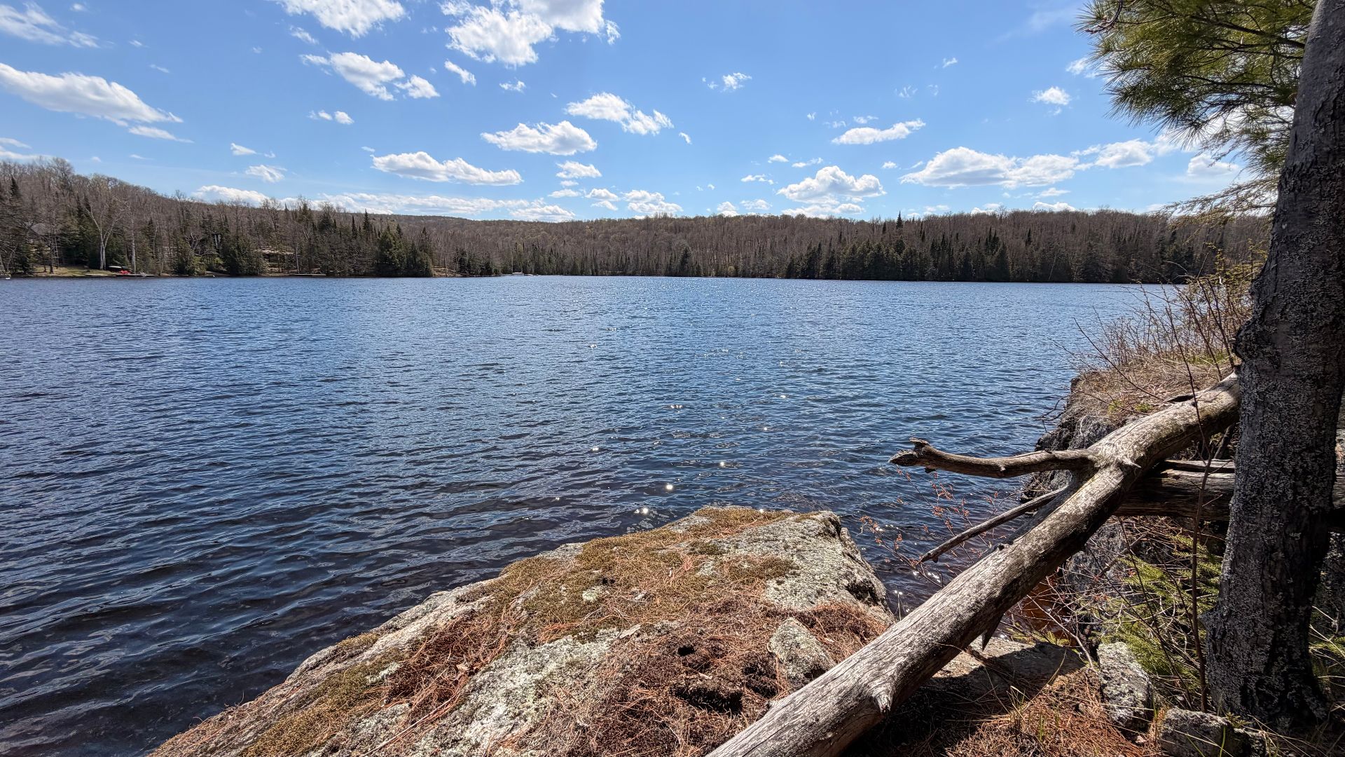 Water view