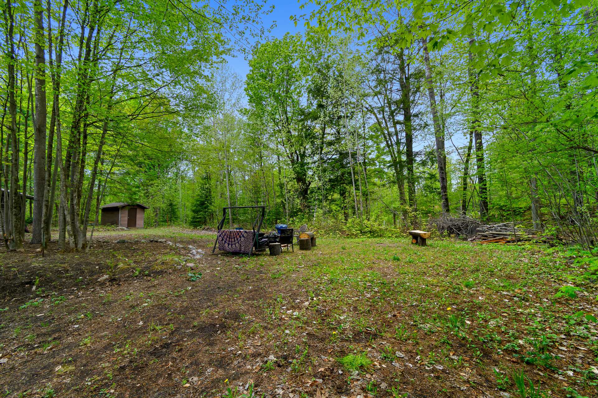 Overall View