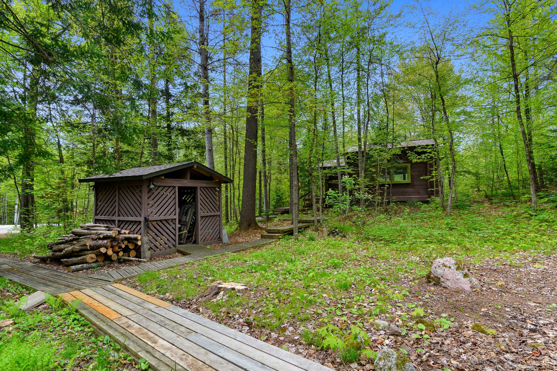 Overall View