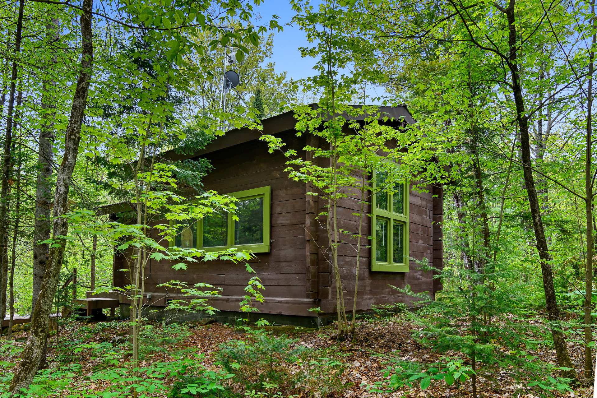 Overall View