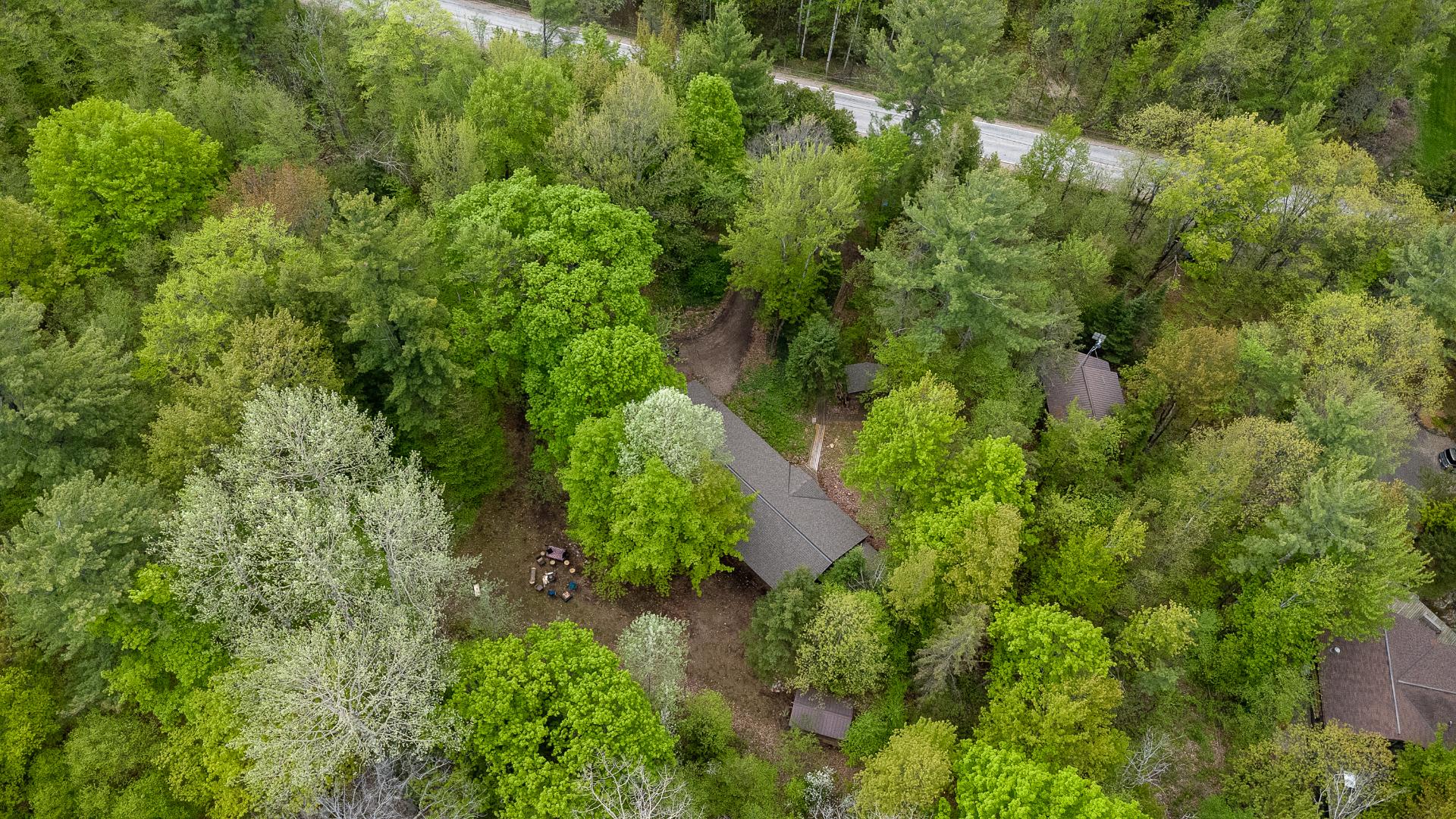 Overall View