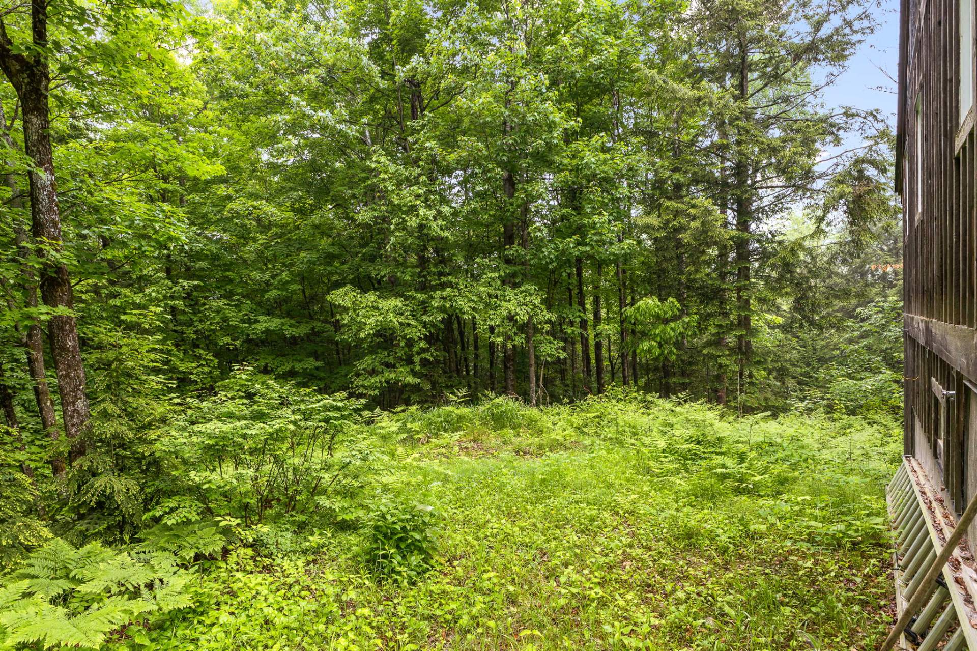 Land/Lot