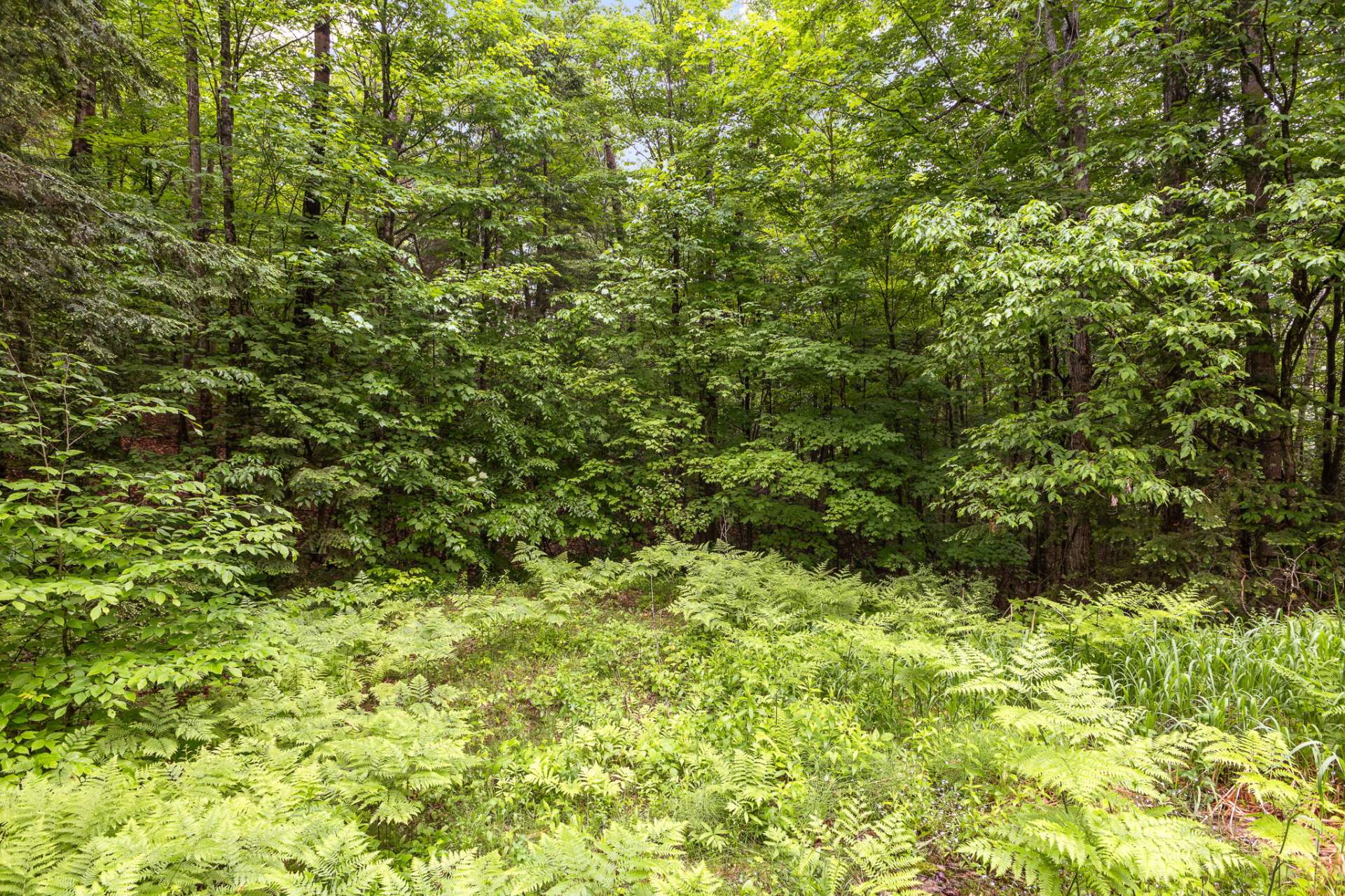 Land/Lot