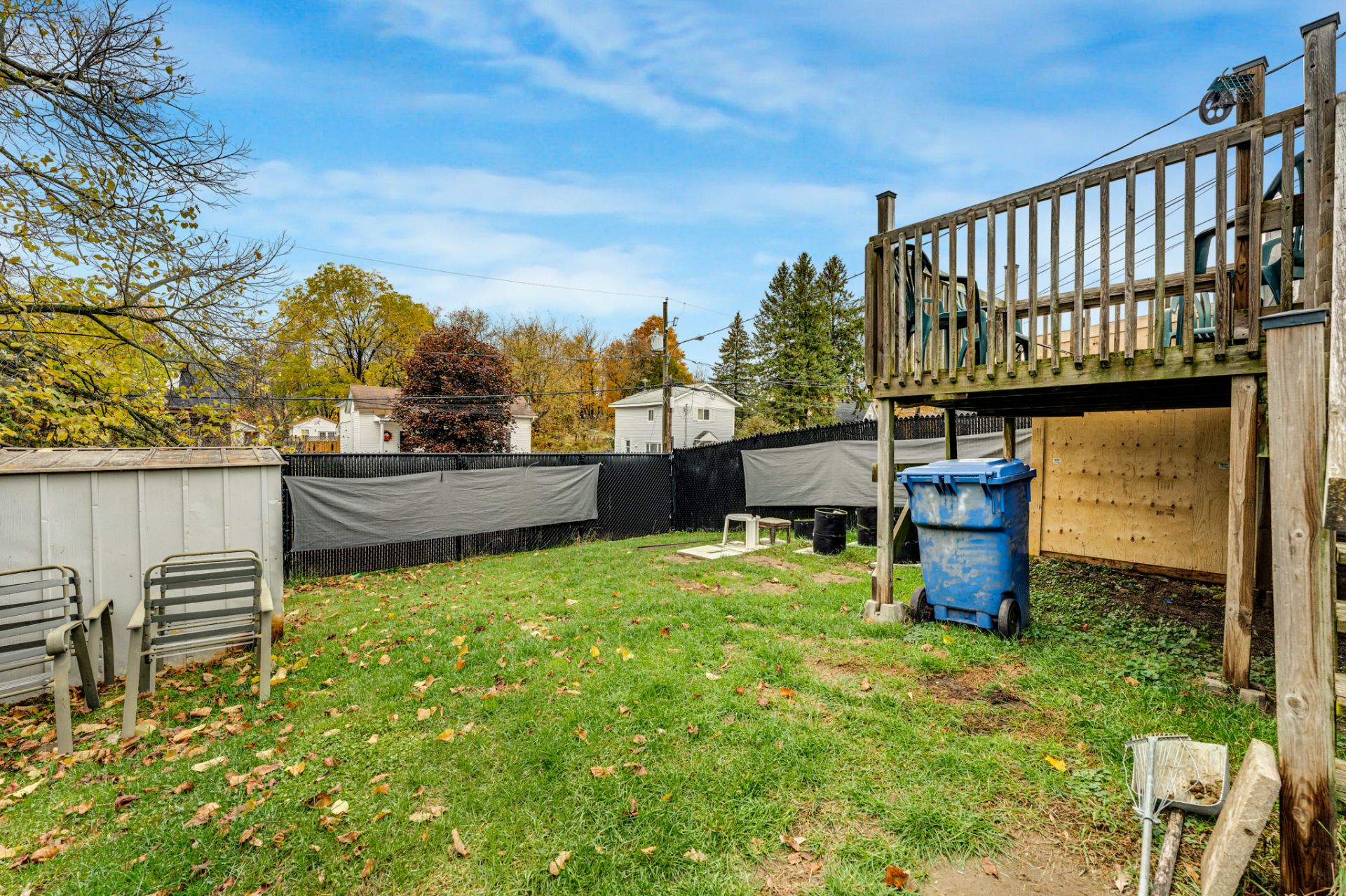 Backyard