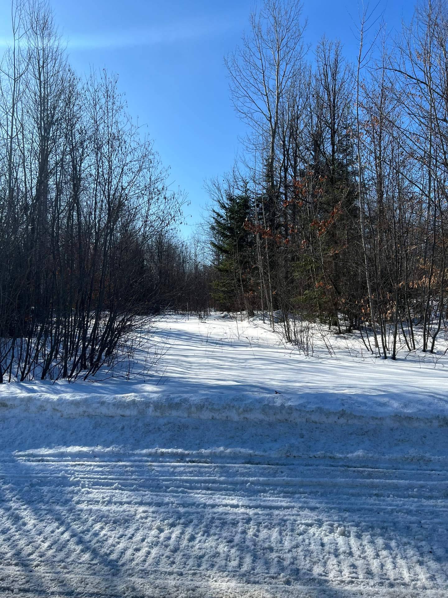 Terre à bois - Droit de passage à la rivière