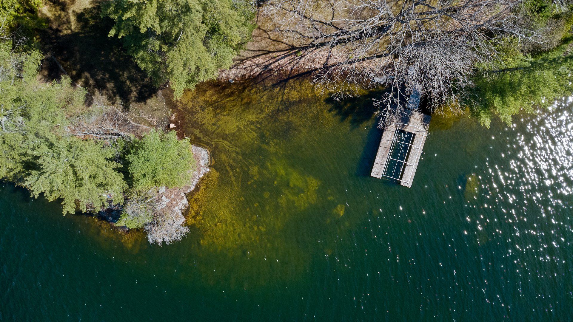 Bord de l'eau