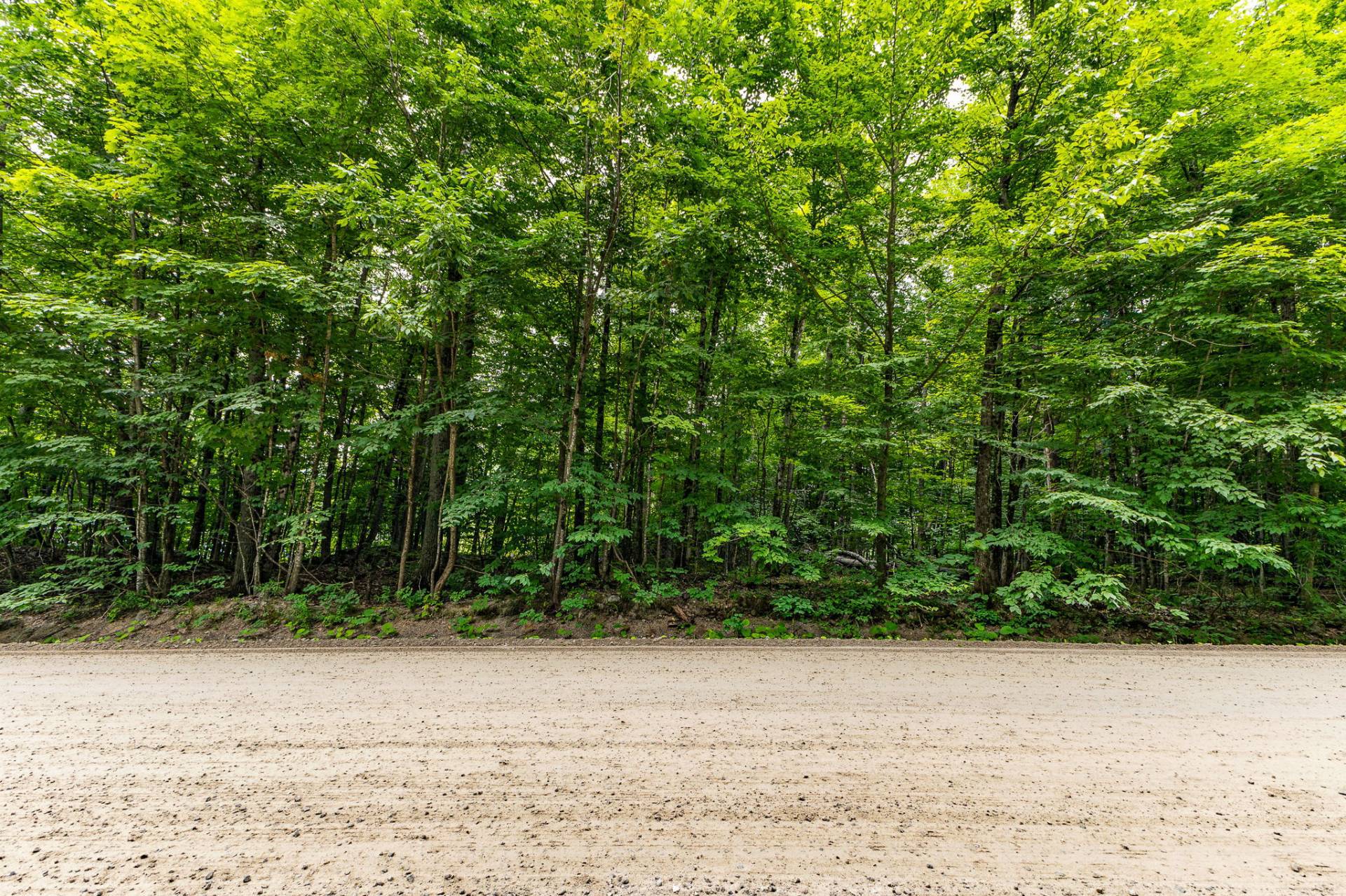 Land/Lot