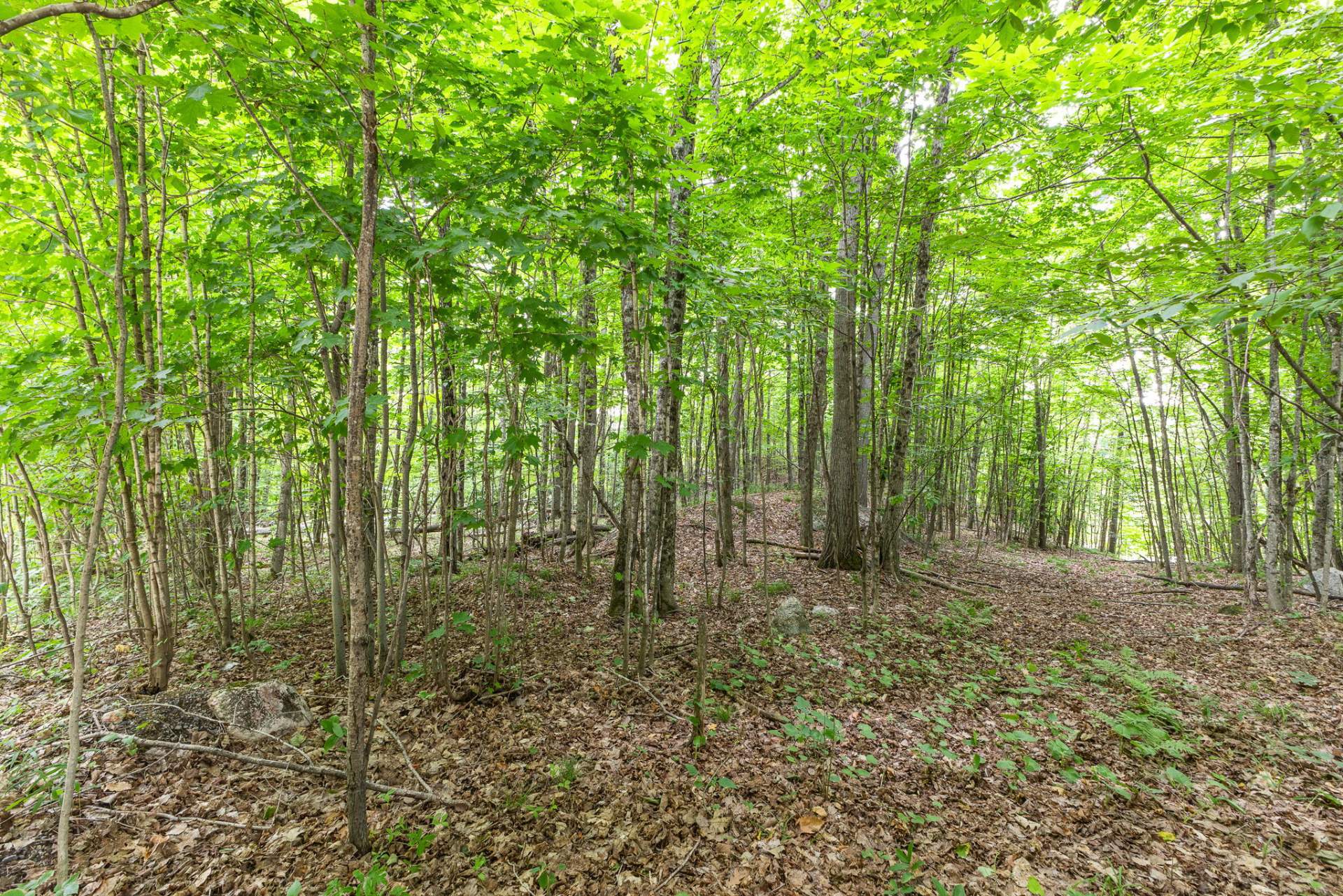 Land/Lot