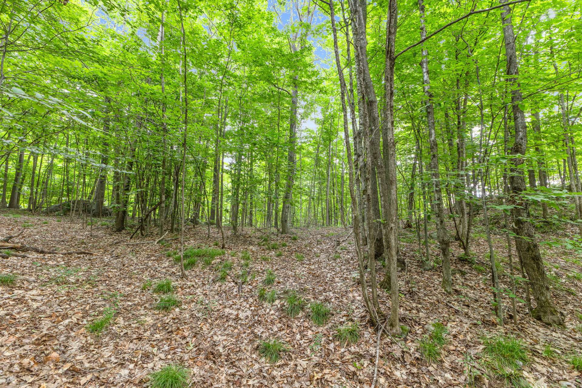 Land/Lot