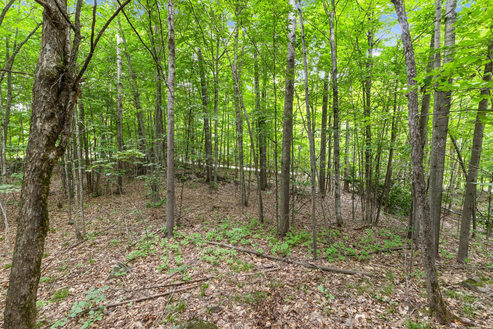 Land/Lot