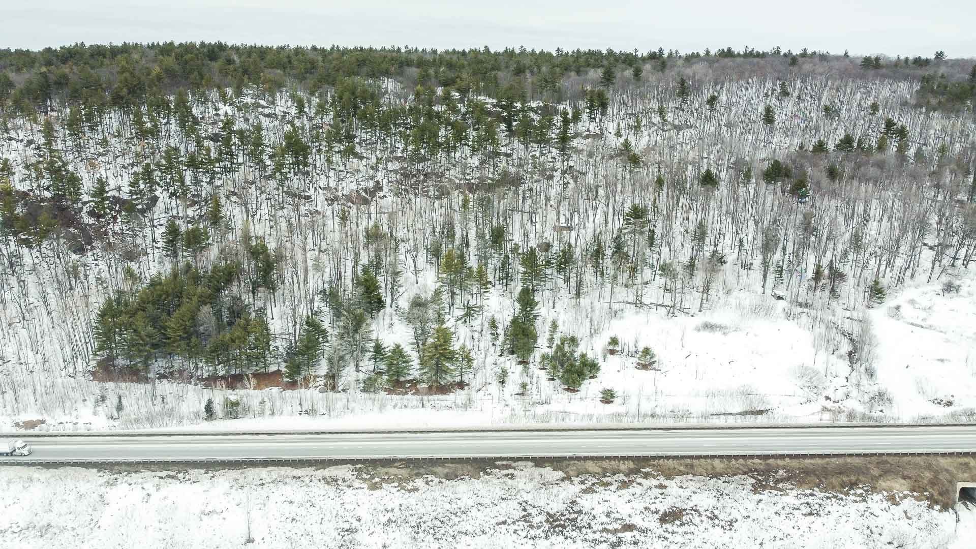 Woodland