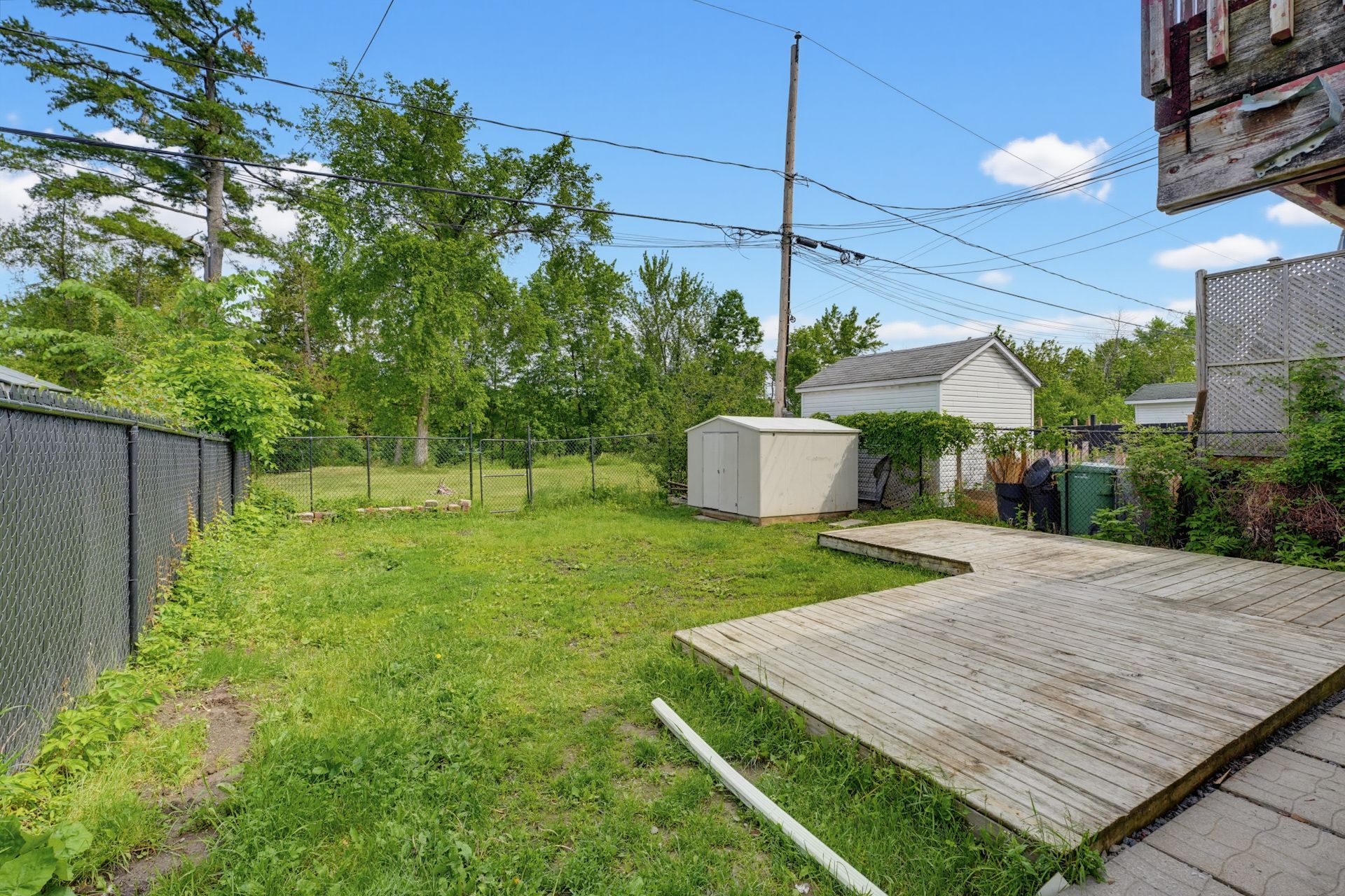 Backyard