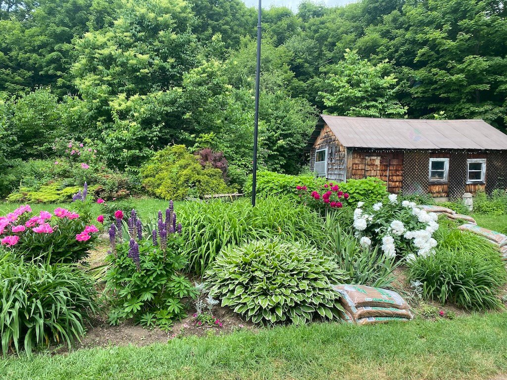 Land/Lot