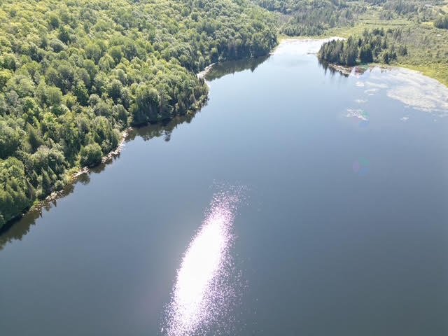 Aerial photo