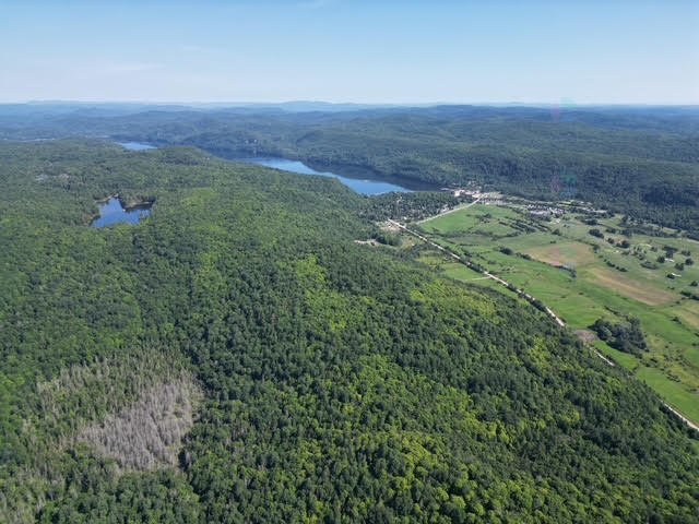 Aerial photo