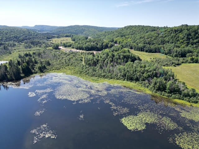 Aerial photo
