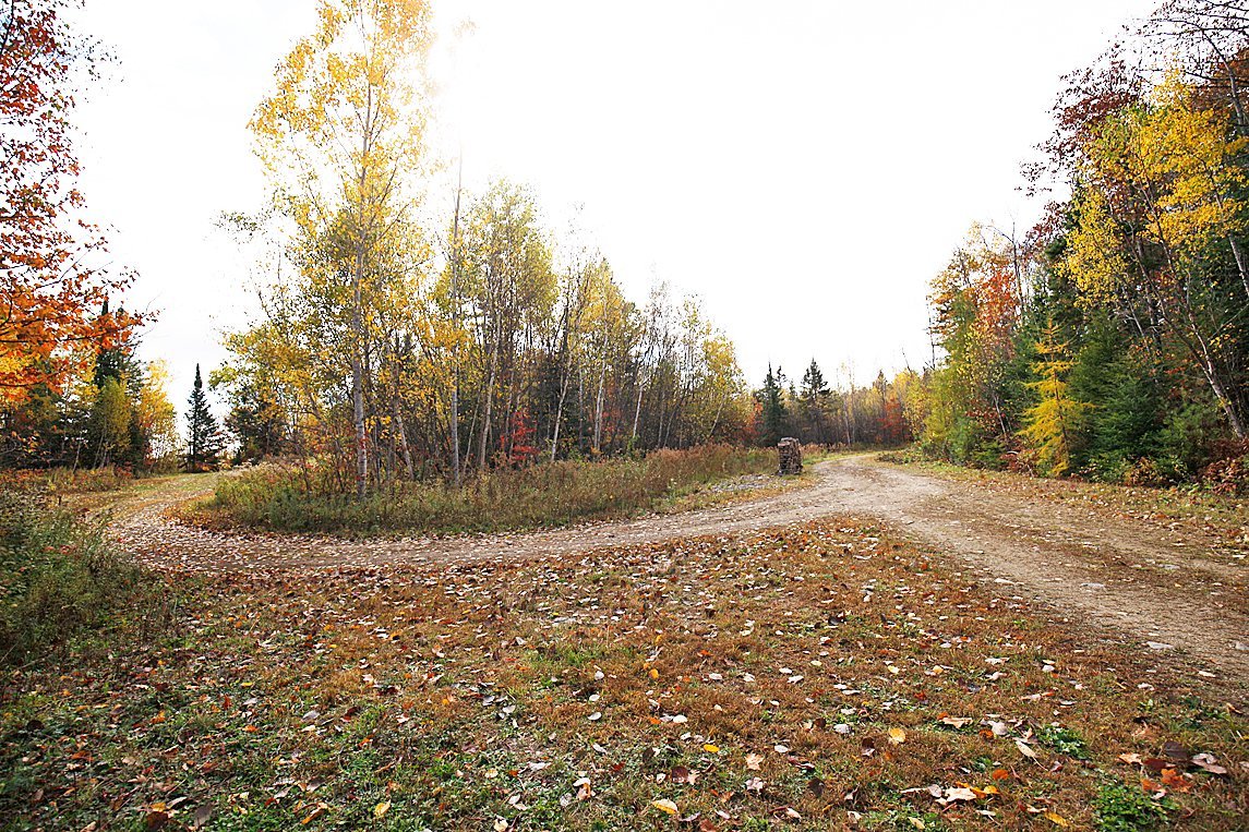 Land/Lot