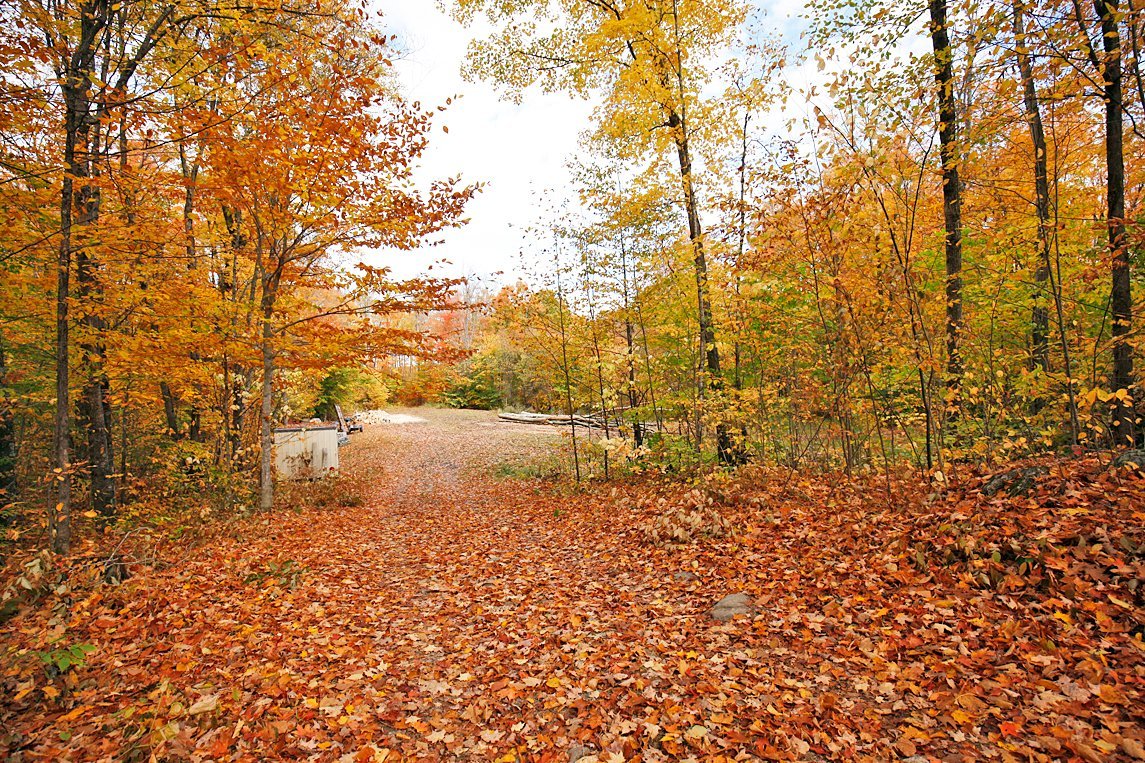 Land/Lot