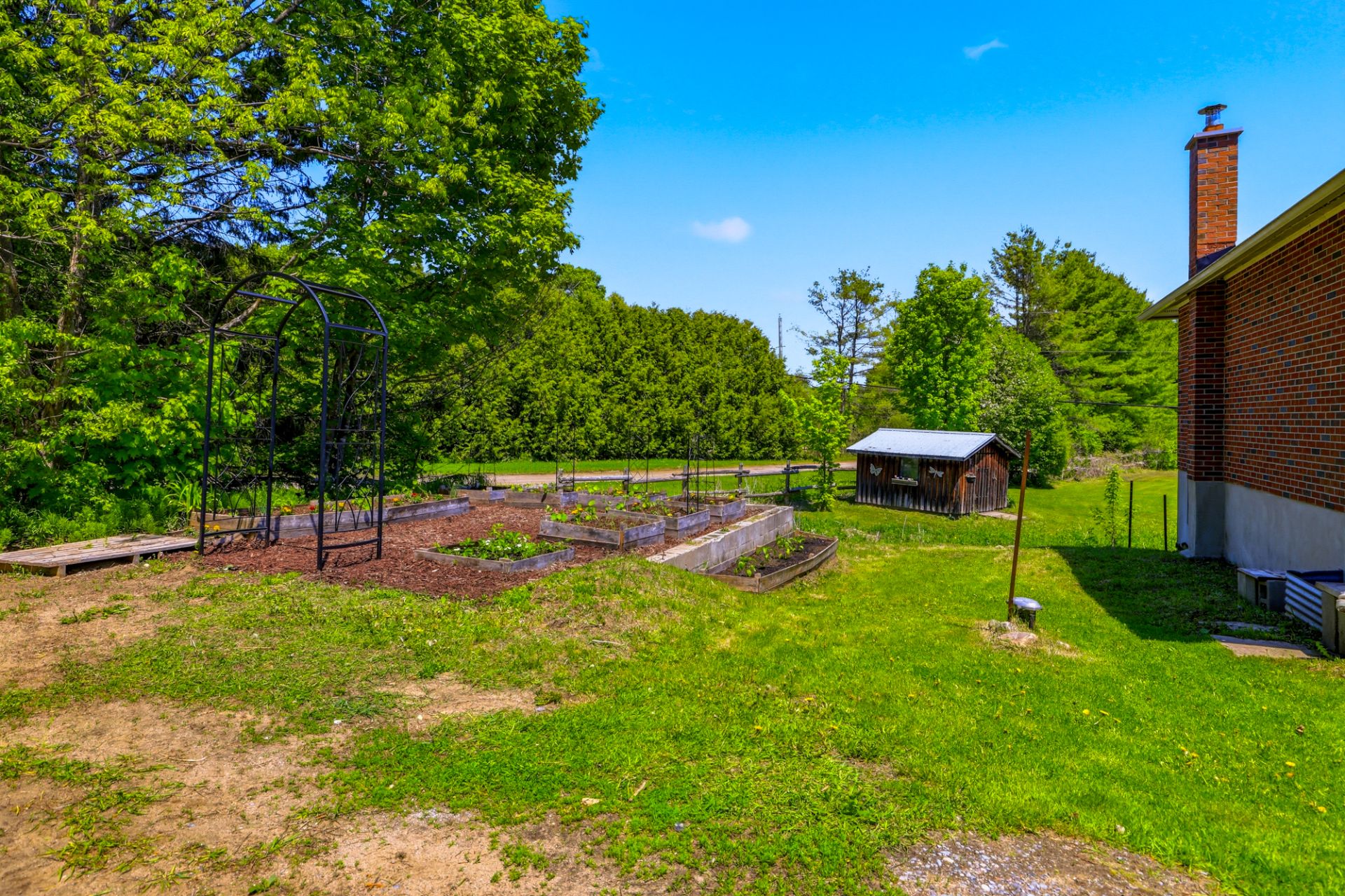 Backyard