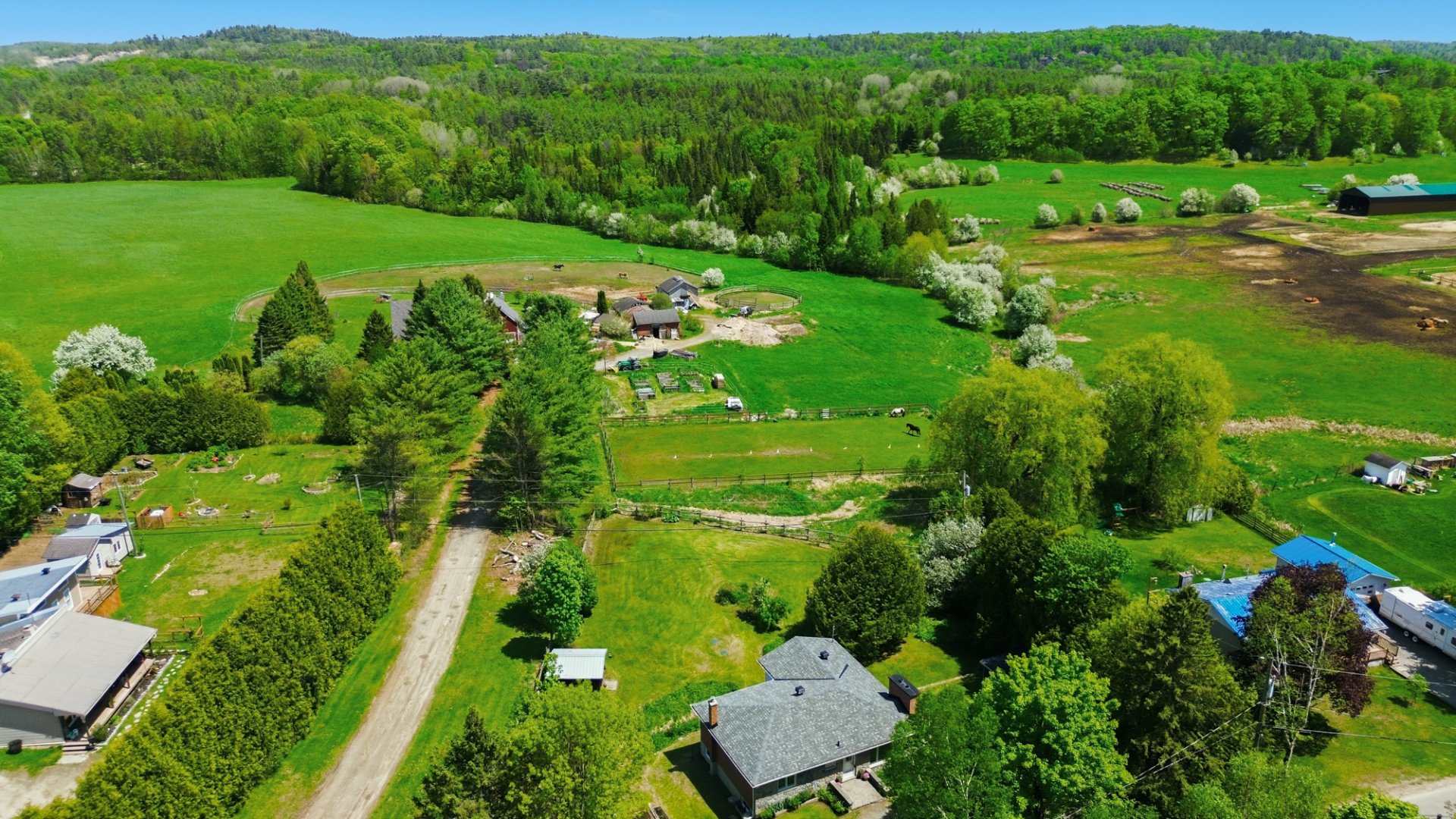 Aerial photo