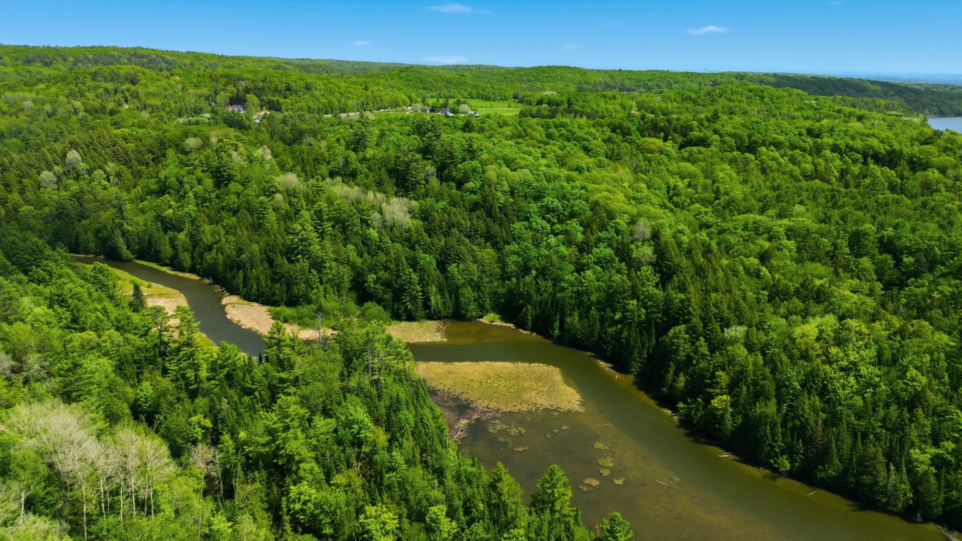 Aerial photo