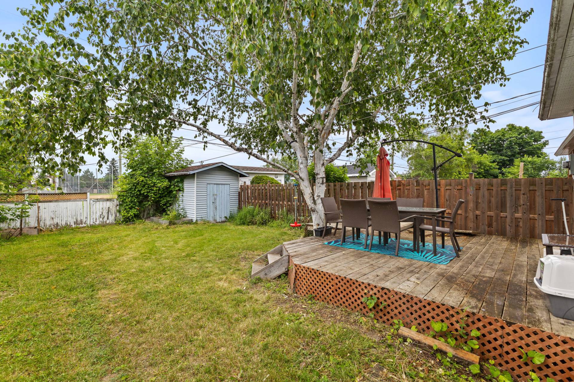 Backyard