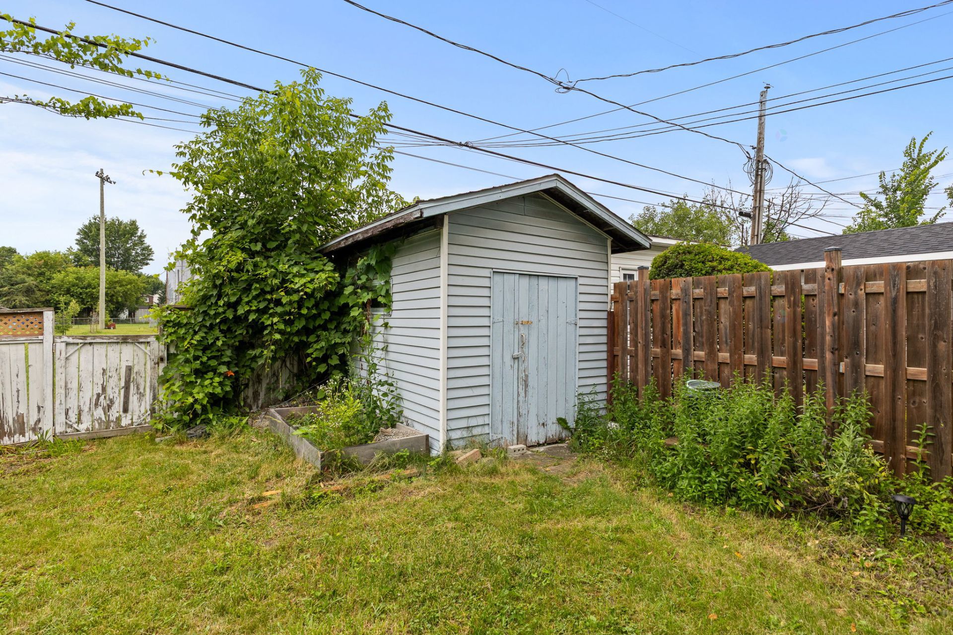 Shed