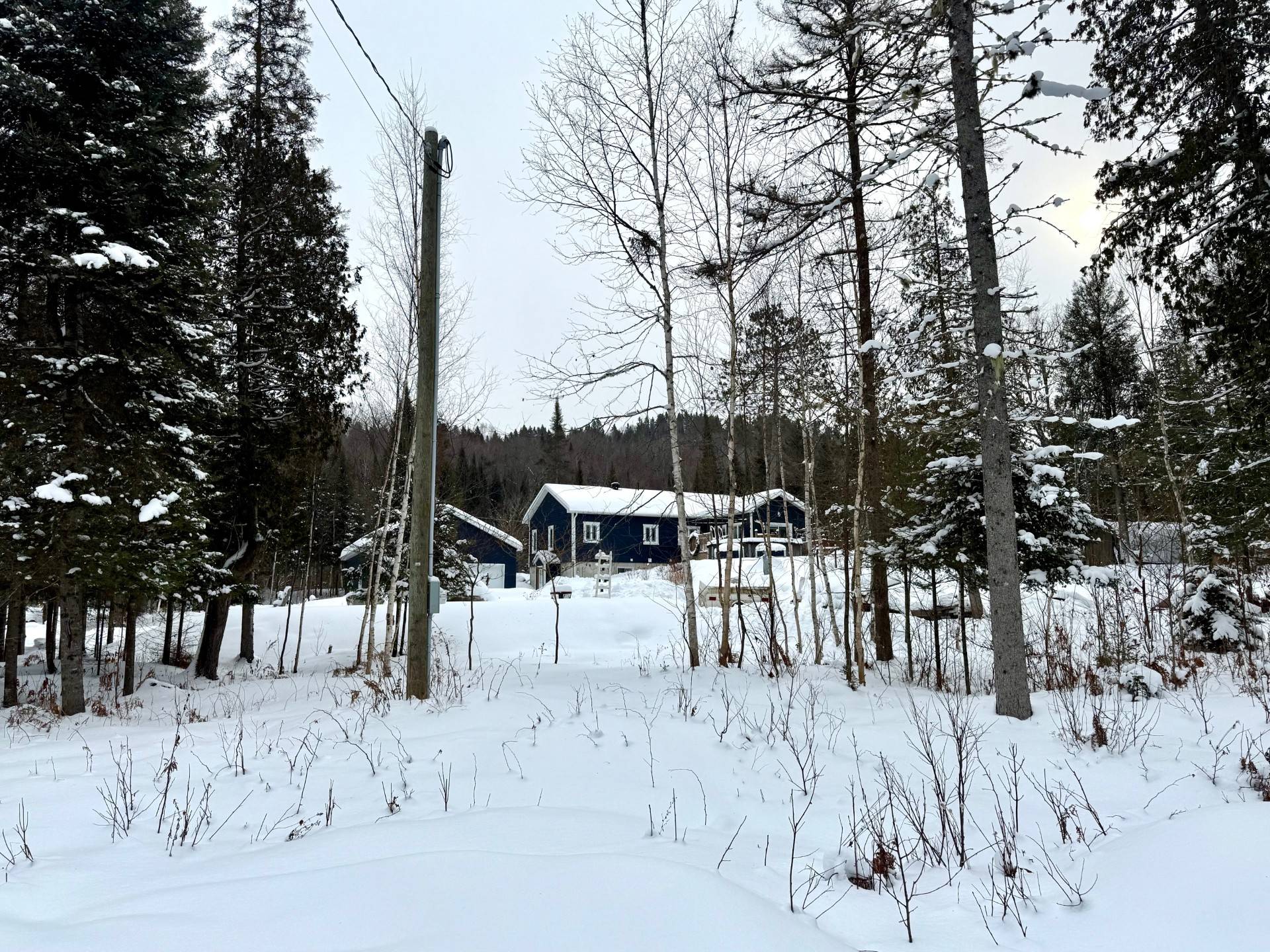 Back facade - large wooded lot, with lilacs and apple trees