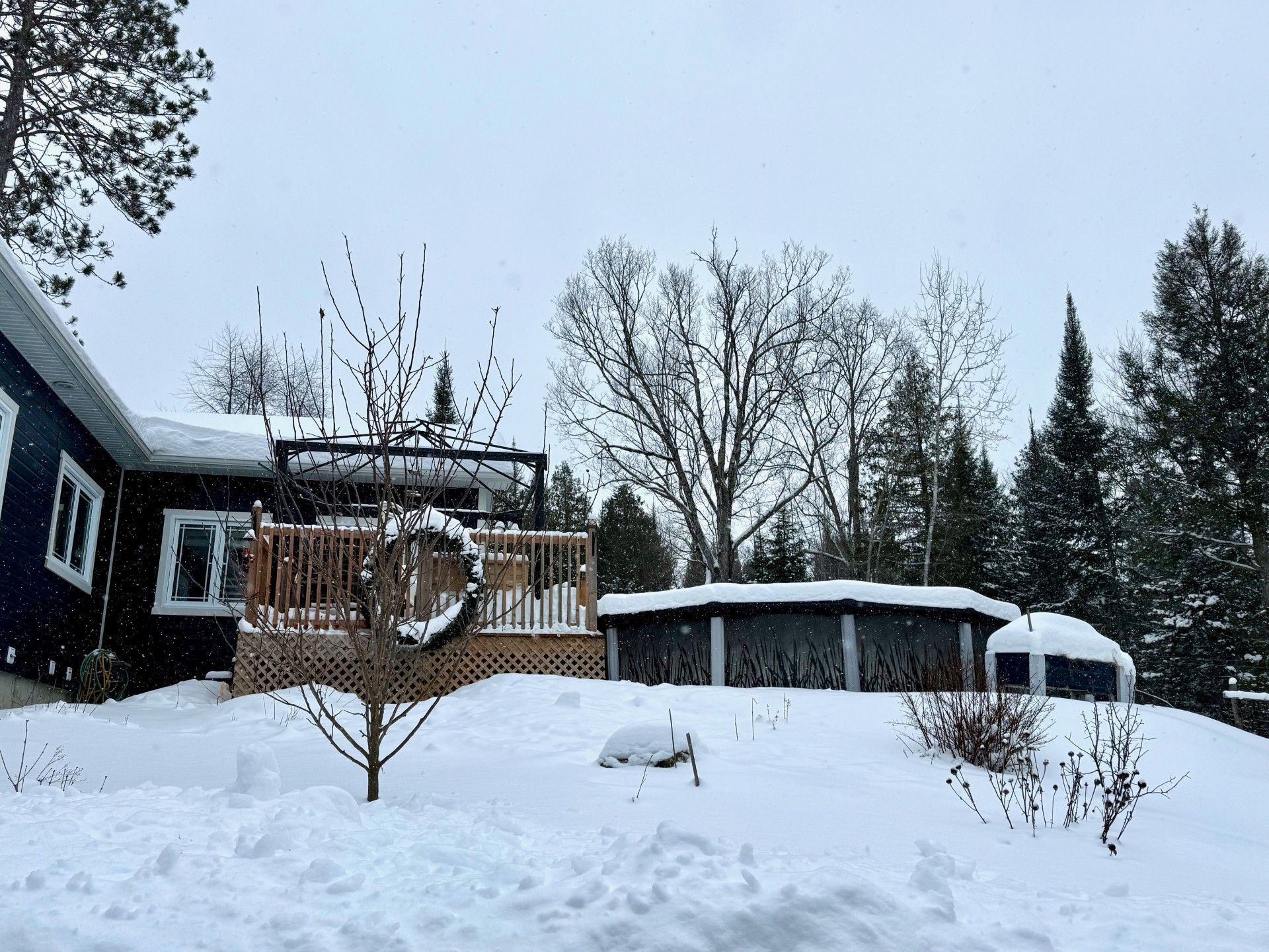 Pool - 18' swimming pool